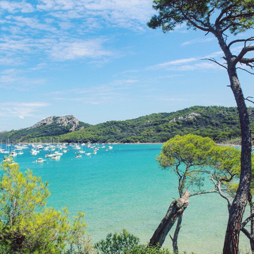 post 7 - porquerolles_1