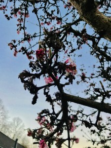 estações - dia 24-02-2019