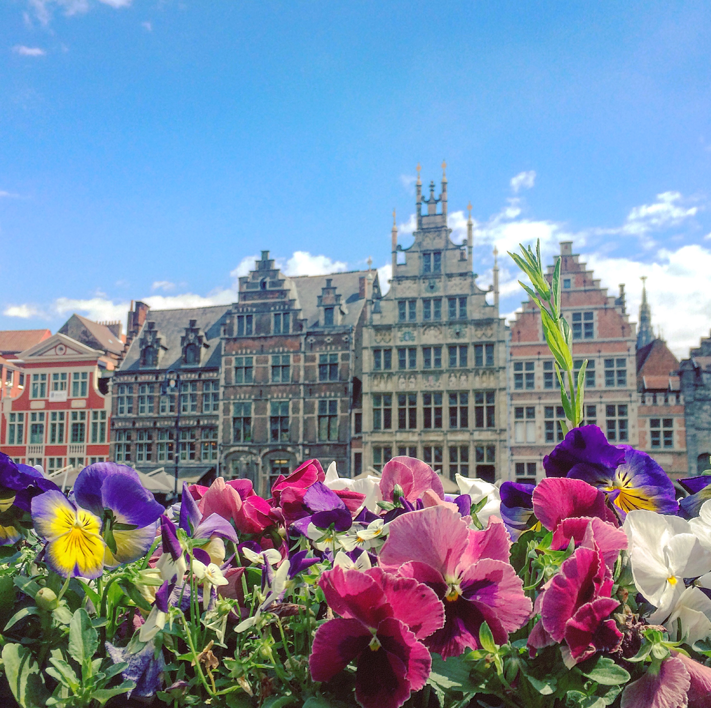 primavera - gante.JPG