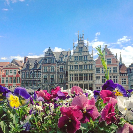 primavera - gante.JPG