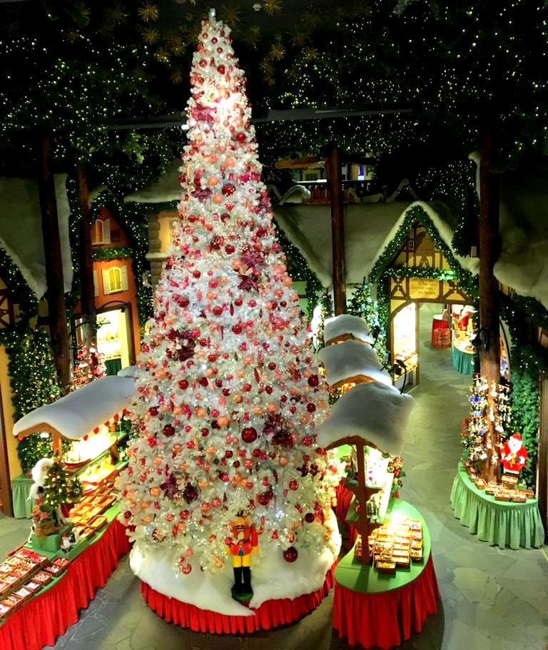 rothen. o d tauber_13