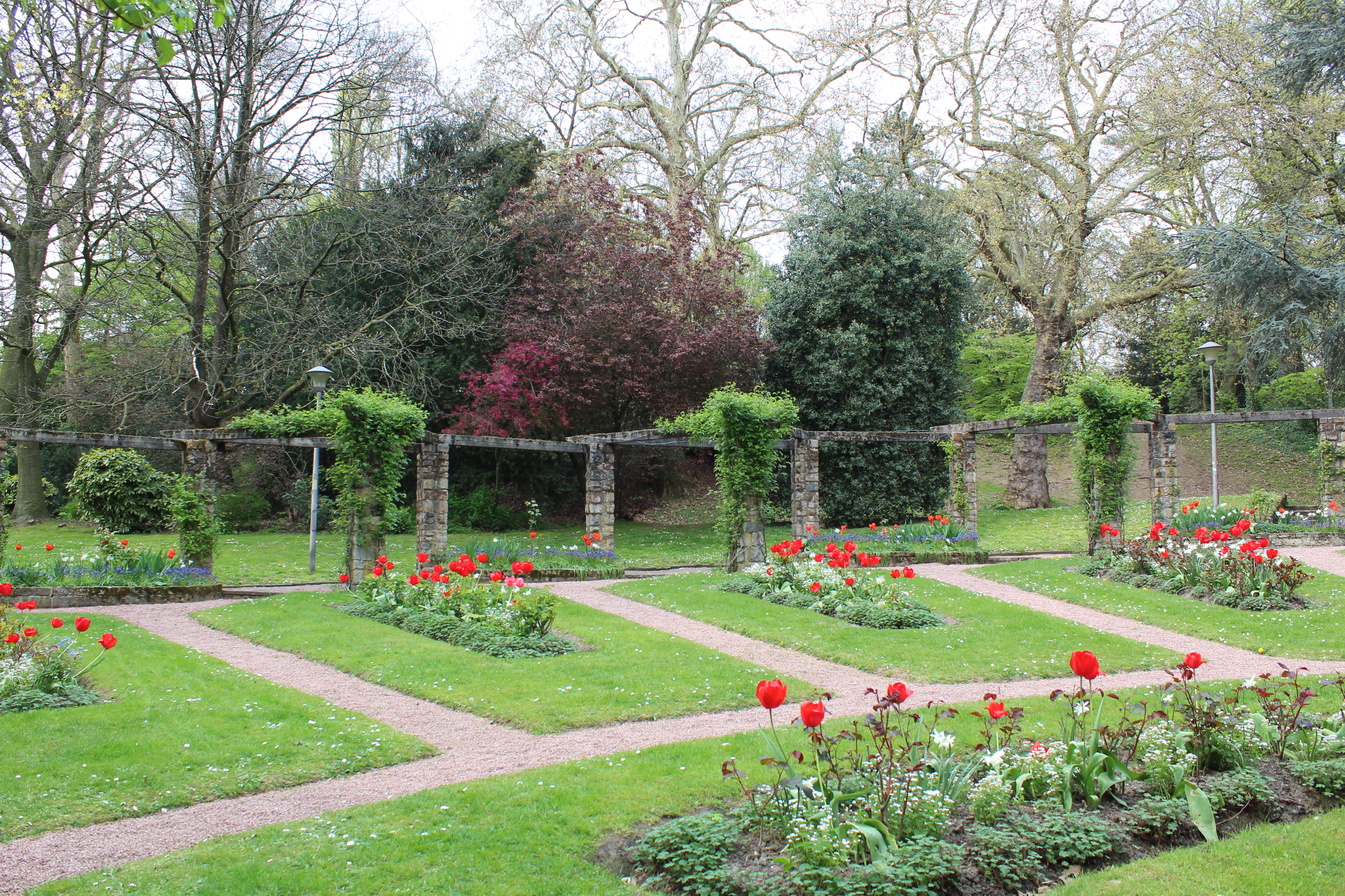 primavera - citadelpark_9.JPG