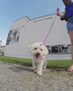 muro - bernauer strasse - 1