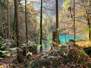 blausee_3
