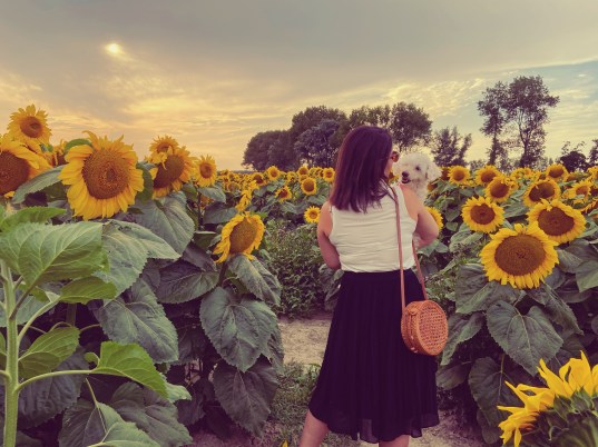 6670491F-D1CF-4170-B0D4-3931C48CD9B4